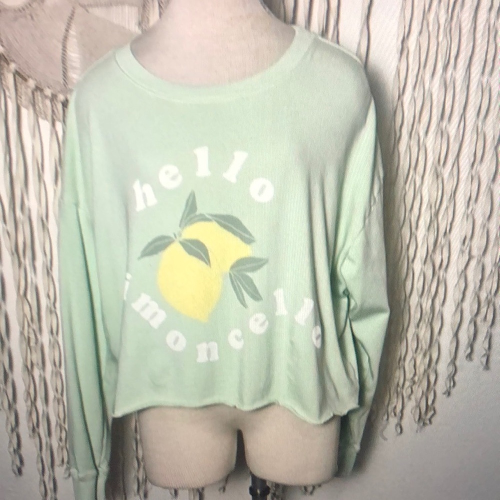 Widfox Mint Colored Hello Lomoncello” Oversized Sweatshirt XS/L